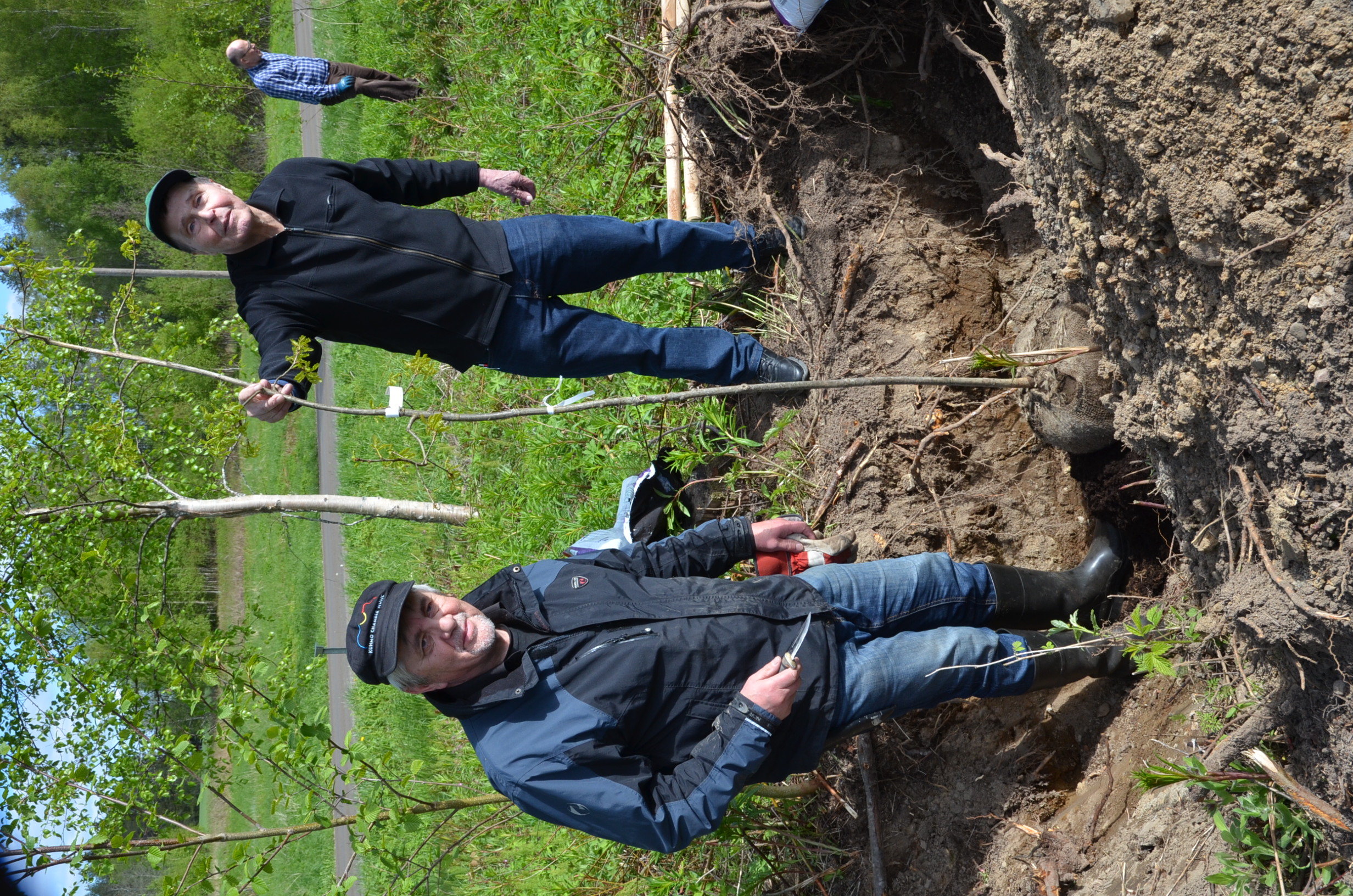 Erkki Oikarinen ja Veikko Rusanen istuttamassa Oikarissuvun tammimetsää.